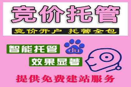 百度推广开户的预算规划与执行——以一则成功案例为参考
